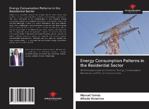 Energy Consumption Patterns in the Residential Sector: Relationship between Domestic Energy Consumption Standards and Family Income Levels