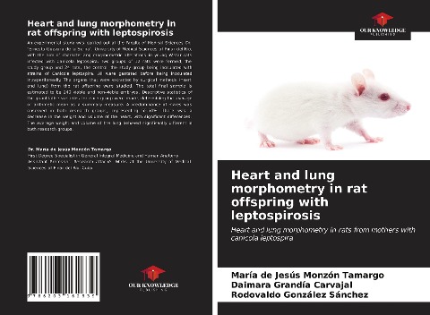 Heart and lung morphometry in rat offspring with leptospirosis: Heart and lung morphometry in rats from mothers with canicola leptospira