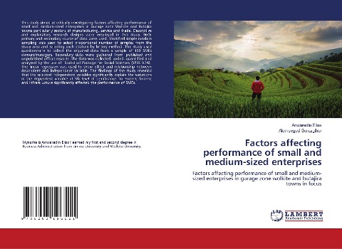 Factors affecting performance of small and medium-sized enterprises: Factors affecting performance of small and medium-sized enterprises in gurage zone wolkite and butajira towns in focus