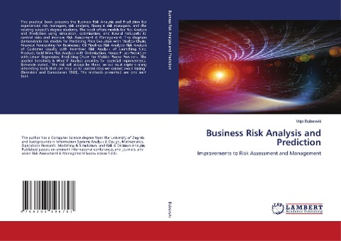 Business Risk Analysis and Prediction: Improvements to Risk Assessment and Management