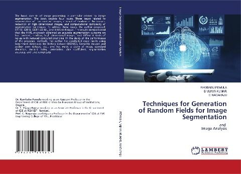 Techniques for Generation of Random Fields for Image Segmentation: and Image Analysis