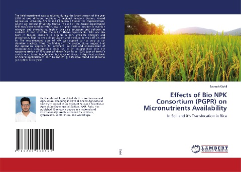 Effects of Bio NPK Consortium (PGPR) on Micronutrients Availability: In Soil and its Translocation in Rice