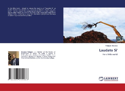 Laudato Si': For a little world