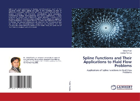 Spline Functions and Their Applications to Fluid Flow Problems: Applications of Spline Functions in Fluid Flow Problems