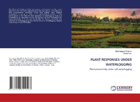PLANT RESPONSES UNDER WATERLOGGING: Plant productivity under soil waterlogging