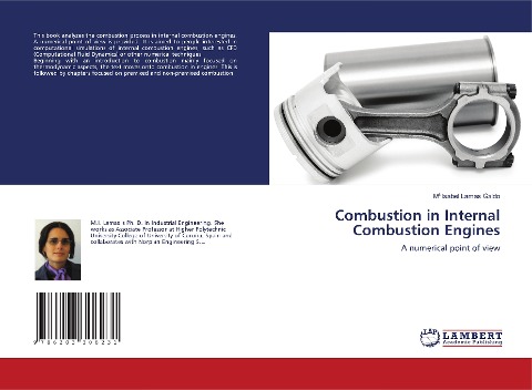 Combustion in Internal Combustion Engines: A numerical point of view