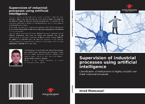 Supervision of industrial processes using artificial intelligence: Classification of malfunctions in highly unstable non-linear industrial processes