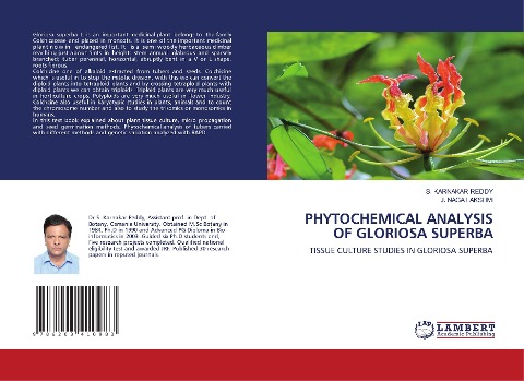 PHYTOCHEMICAL ANALYSIS OF GLORIOSA SUPERBA: TISSUE CULTURE STUDIES IN GLORIOSA SUPERBA