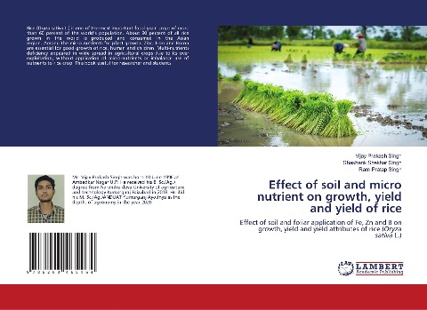 Effect of soil and micro nutrient on growth, yield and yield of rice: Effect of soil and foliar application of Fe, Zn and B on growth, yield and yield attributes of rice (Oryza sativa L.)