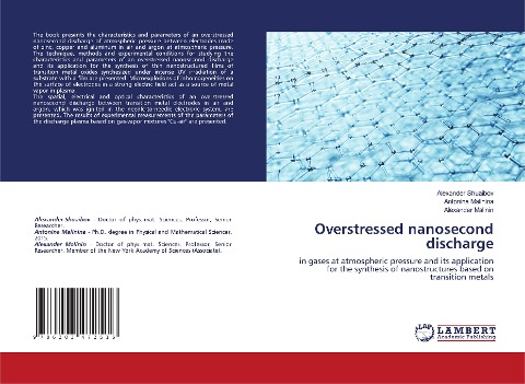 Overstressed nanosecond discharge: in gases at atmospheric pressure and its application for the synthesis of nanostructures based on transition metals