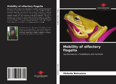 Mobility of olfactory flagella: representatives of amphibians and mammals
