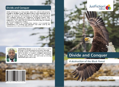 Divide and Conquer: A destruction of the Black Forest