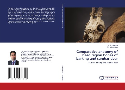 Comparative anatomy of head region bones of barking and sambar deer: Skull of barking and sambar deer
