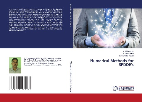 Numerical Methods for SPDDEs