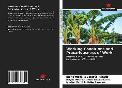 Working Conditions and Precariousness of Work: Impact of Working Conditions on Labor Precariousness, El Recreo Site