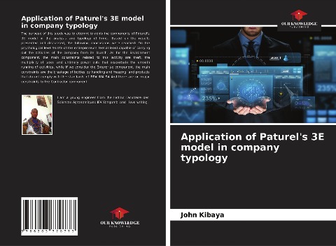 Application of Paturels 3E model in company typology