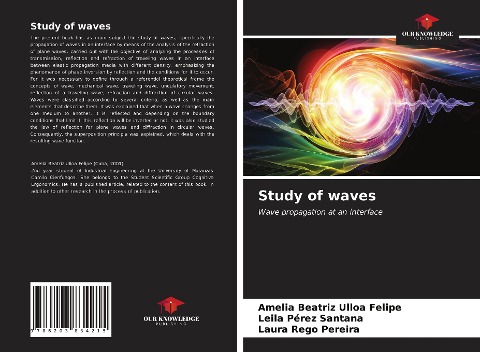 Study of waves: Wave propagation at an interface