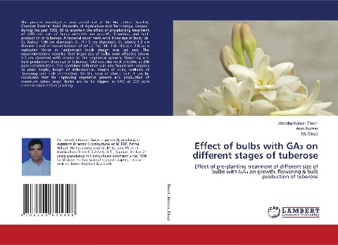Effect of bulbs with GA¿ on different stages of tuberose: Effect of pre-planting treatment of different size of bulbs with GA¿ on growth, flowering & bulb production of tuberose