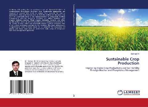 Sustainable Crop Production: Improving Maize Crop Productivity and Soil Fertility Through Biochar and Phosphorus Management