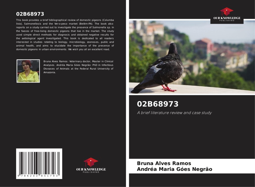 02B68973: A brief literature review and case study