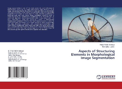 Aspects of Structuring Elements in Morphological Image Segmentation