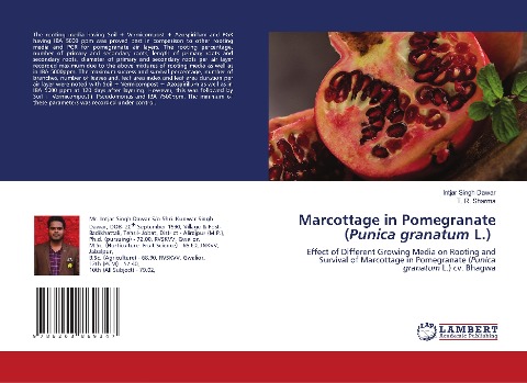 Marcottage in Pomegranate (Punica granatum L.): Effect of Different Growing Media on Rooting and Survival of Marcottage in Pomegranate (Punica granatum L.) cv. Bhagwa