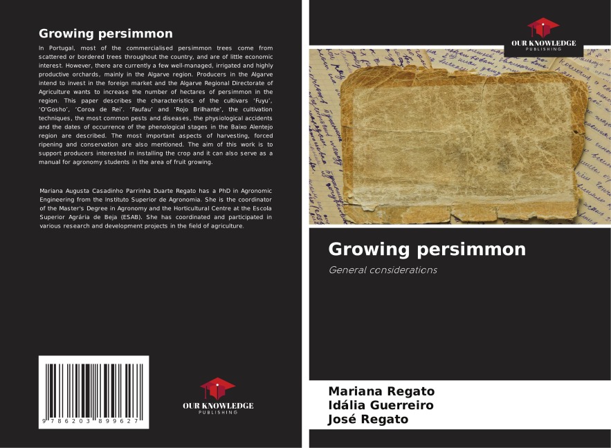 Growing persimmon: General considerations