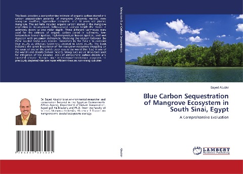 Blue Carbon Sequestration of Mangrove Ecosystem in South Sinai, Egypt: A Comprehensive Evaluation