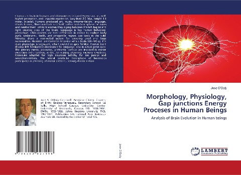 Morphology, Physiology, Gap junctions Energy Proceses in Human Beings: Analysis of Brain Evolution in Human beings