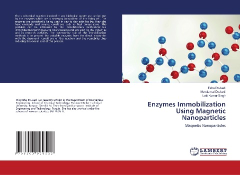 Enzymes Immobilization Using Magnetic Nanoparticles: Magnetic Nanoparticles