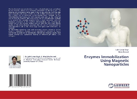 Enzymes Immobilization Using Magnetic Nanoparticles
