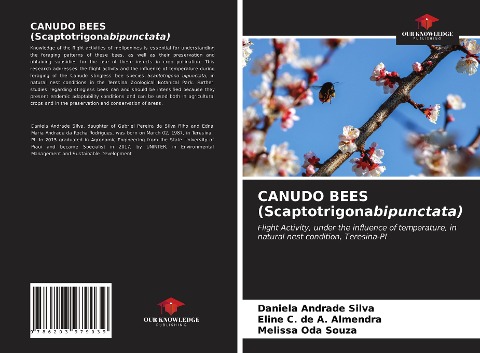 CANUDO BEES (Scaptotrigonabipunctata): Flight Activity, under the influence of temperature, in natural nest condition, Teresina-PI