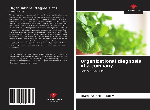 Organizational diagnosis of a company: Case of CERIGE-Sarl
