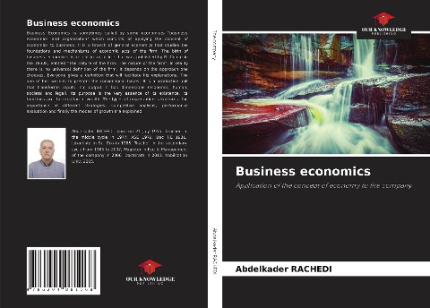 Business economics: Application of the concept of economy to the company