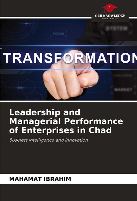 Leadership and Managerial Performance of Enterprises in Chad: Business Intelligence and Innovation