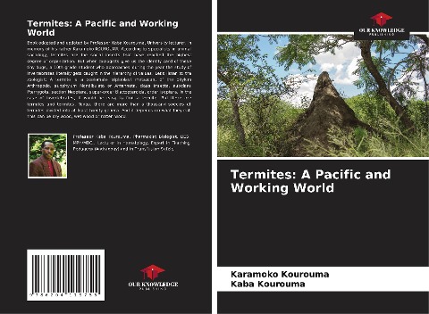 Termites: A Pacific and Working World