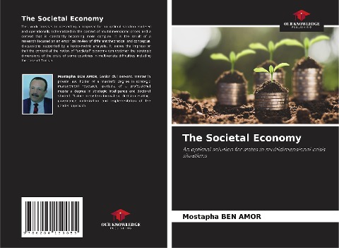 The Societal Economy: An optimal solution for states in multidimensional crisis situations