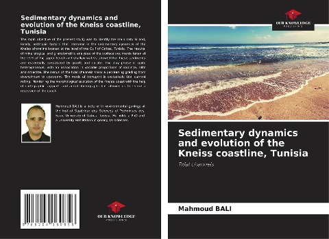 Sedimentary dynamics and evolution of the Kneiss coastline, Tunisia: Tidal channels