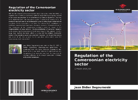 Regulation of the Cameroonian electricity sector: Critical analysis