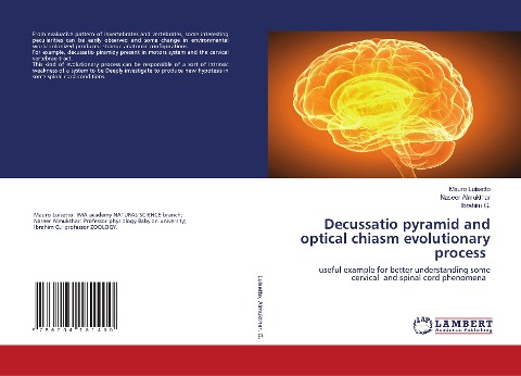 Decussatio pyramid and optical chiasm evolutionary process: useful example for better understanding some cervical and spinal cord phenomena