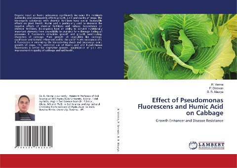 Effect of Pseudomonas Fluorescens and Humic Acid on Cabbage: Growth Enhancer and Disease Resistance