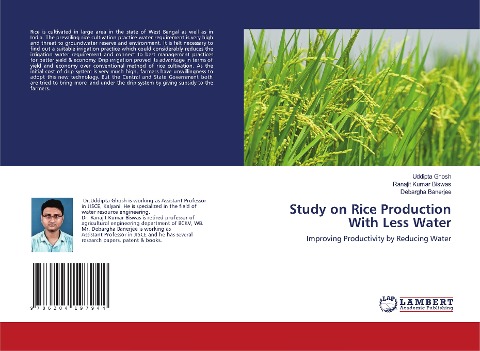 Study on Rice Production With Less Water: Improving Productivity by Reducing Water