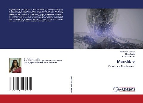 Mandible: Growth and Development