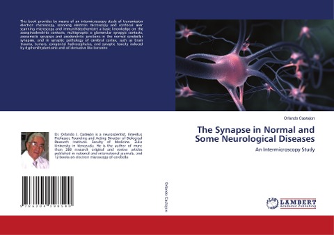 The Synapse in Normal and Some Neurological Diseases: An Intermicroscopy Study