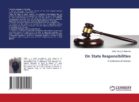 On State Responsibilities: A Collection of Articles