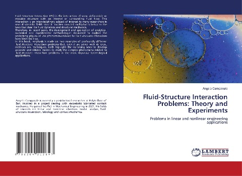 Fluid-Structure Interaction Problems: Theory and Experiments: Problems in linear and nonlinear engineering applications