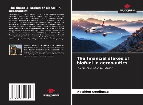 The financial stakes of biofuel in aeronautics: Financing biofuels in civil aviation