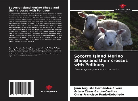 Socorro Island Merino Sheep and their crosses with Pelibuey: Thermoregulatory responses in the tropics