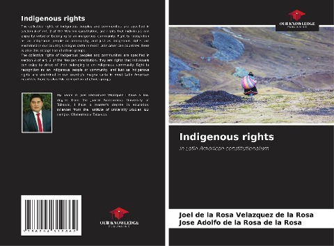 Indigenous rights: in Latin American constitutionalism