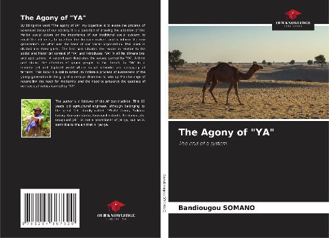 The Agony of YA: The end of a system